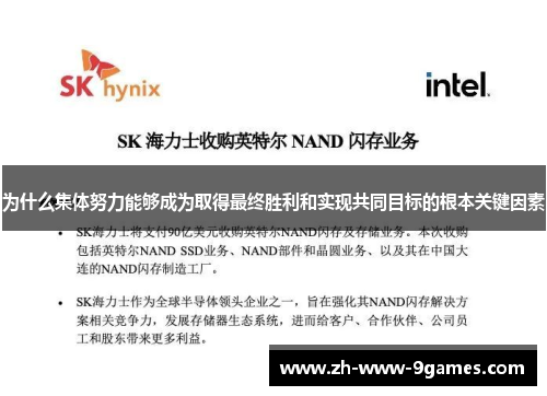为什么集体努力能够成为取得最终胜利和实现共同目标的根本关键因素