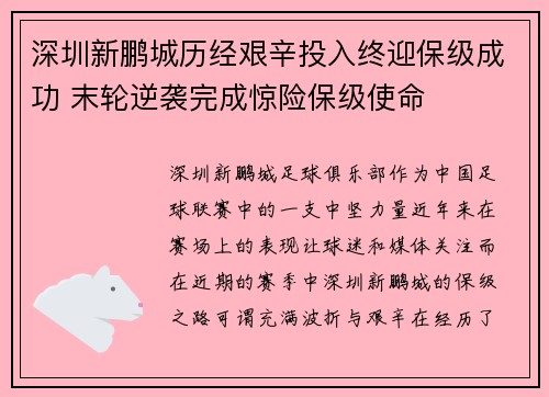 深圳新鹏城历经艰辛投入终迎保级成功 末轮逆袭完成惊险保级使命
